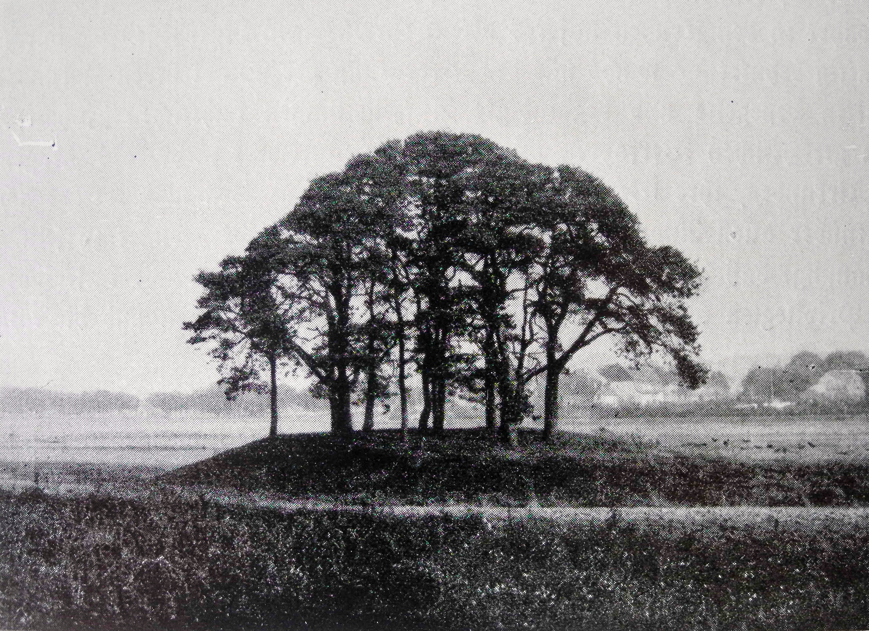 Der Galgenhügel um 1930 in einer Fotografie des Coesfelder Stadtbaurats Hermann Wolters
